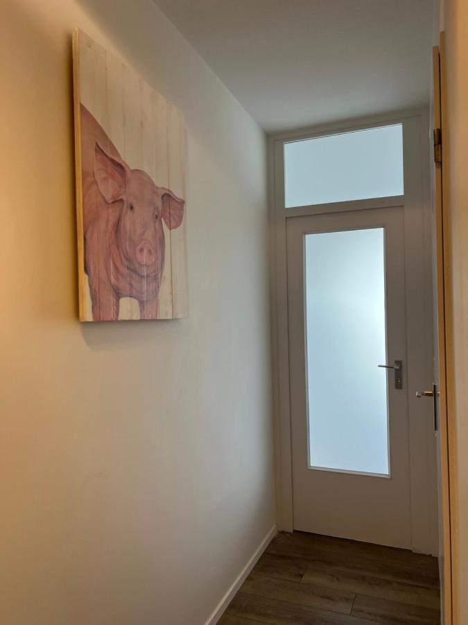 Inselblick 2 Daire Schleswig Dış mekan fotoğraf